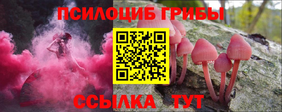 Галлюциногенные грибы прущие грибы Ханты-Мансийск