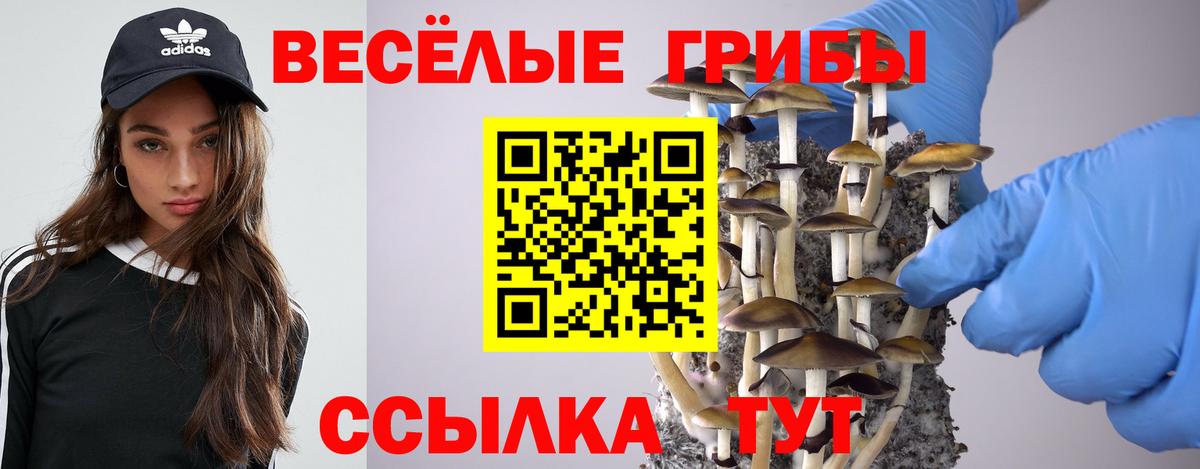 Ханты-Мансийск  Псилоцибиновые грибы GOLDEN TEACHER  Вход с VPN  Галлюциногенные грибы мухоморы 
